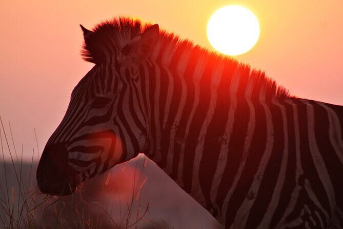 3 Day Kruger National Park tour - Johannesburg to Hoedspruit: the long ride, handled for you