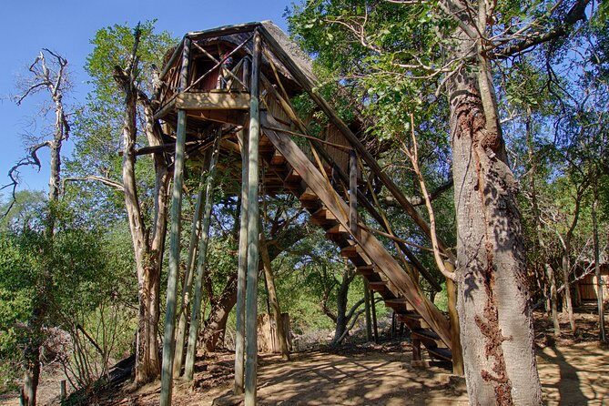 3 Day Lodge/Treehouse Kruger National Park Safari - From Johannesburg To Tremisana Safari Lodge: The Logistics That Save Your Trip