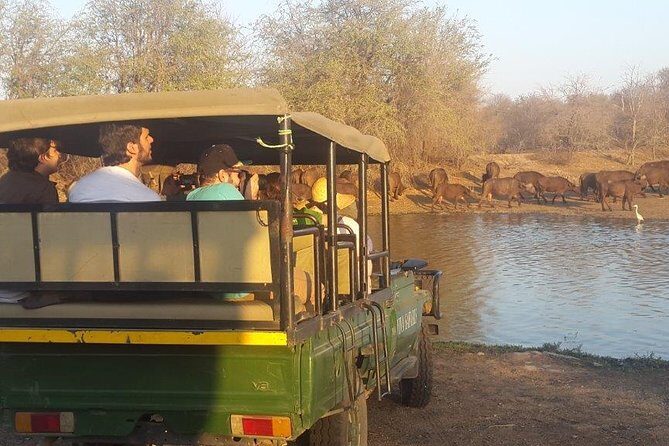 3 Day Lodge/Treehouse Kruger National Park Safari - Klaserie Morning Bush Walk and Blyde River Canyon Three Rondawels
