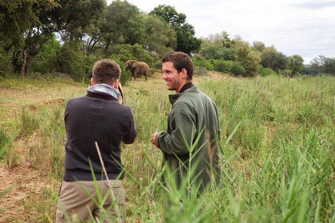 3 Day Lodge/Treehouse Kruger National Park Safari - Should You Book This 3-Day Kruger Lodge and Treehouse Safari?