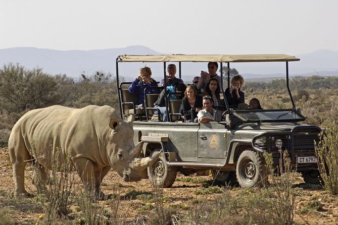 3 Day Luxury Aquila Private Game Reserve - Lodge life between drives: pool time, games, and a family-friendly tone