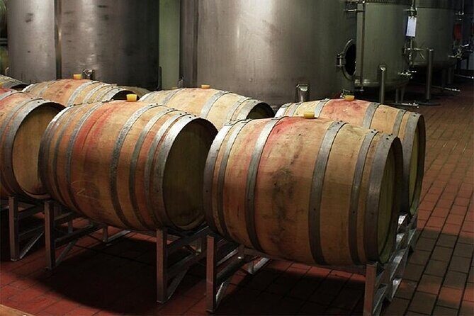 3-Day Private Guided Tour to Cape Town Top Attractions - Day 2 in the Winelands: tastings, art-meets-wine, and cheetah care