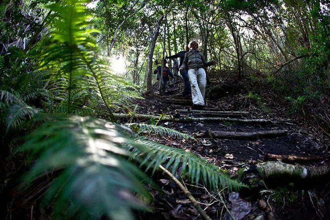 3-Day Private Hiking Trail in The Overberg - Key highlights that make this trail worth your time