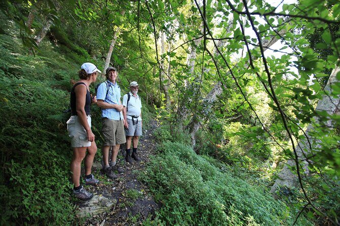 3-Day Private Hiking Trail in The Overberg - Grootbos Environmental Centre and Witkrans Nature Farm Cottages