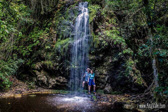 3-Day Private Hiking Trail in The Overberg - Packing, Meals, and Practical Tips for a 2pm Start