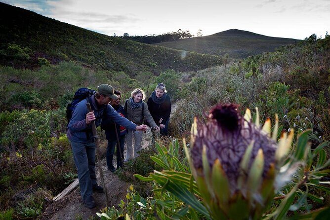 3-Day Private Hiking Trail in The Overberg - Hiking Through Forests, Lichen Dells, Streams, and Waterfalls