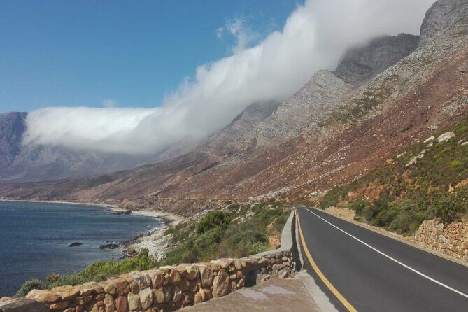 3 Day Safari and Coastal Tour from Cape Town - Cape Town to the Southern Tip and Back: The Big Picture