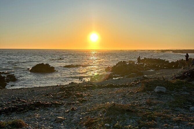 3 Day Safari and Coastal Tour from Cape Town - Tips to Get the Most Out of Every Stop