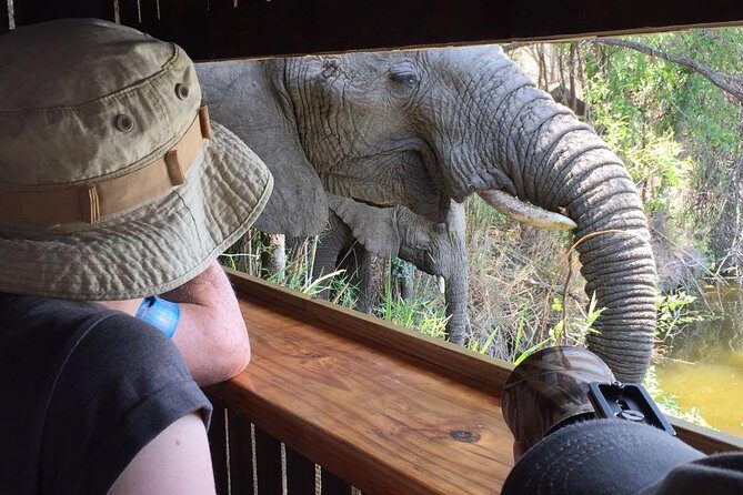 3-Day Tour of Kruger National Park from Skukuza Airport - Key takeaways before you go