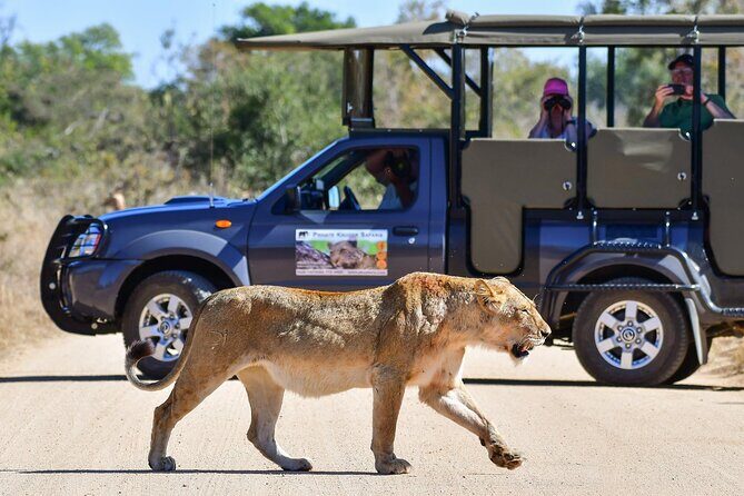 3-Day Tour of Kruger National Park from Skukuza Airport - Day 3 Morning Drive and Fast Exit Back to Skukuza Airport