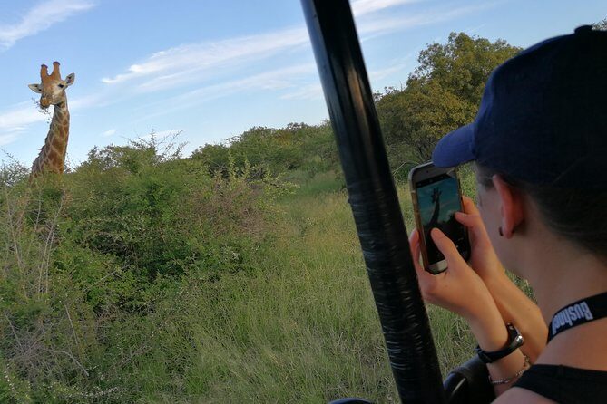 3-Day Tour of Kruger National Park from Skukuza Airport - The Big Five and Beyond: What You Should Watch For on Every Drive