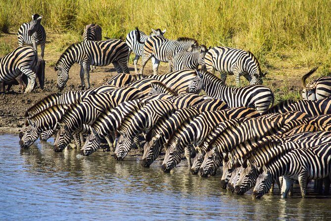 3-Day Tour of Kruger National Park from Skukuza Airport - Value and Budget Reality: What You Pay for 2 Nights and Private Drives