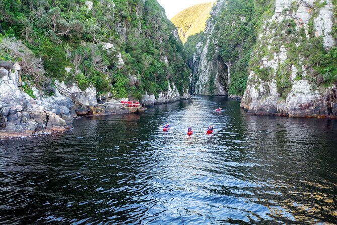 3 Days 2 Nights Garden Route Private Tour from Cape Town - Knysna after safari: check-in, then your guide handles dinner timing
