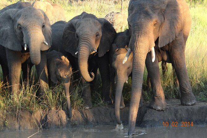 3 Days Durban Safari Tour Package - Guides Like Sheldon, Sibo, and Cibo: The Human Piece That Changes Everything