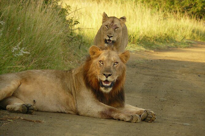 3 Days Durban Safari Tour Package - Day 1 in Hluhluwe: The Drive, the Culture Talk, and Immediate Game Viewing