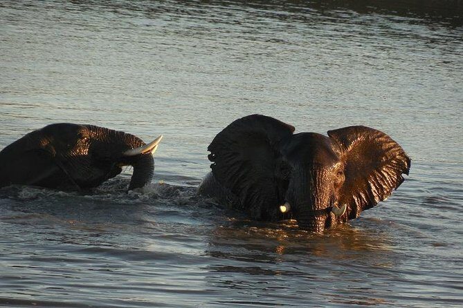 3 Days Johannesburg - Kruger Safari- Blyde River Canyon - Why Kruger and Blyde work so well in one trip