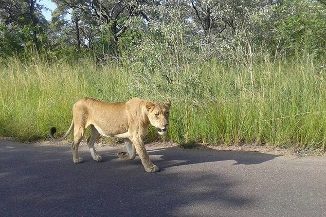 3 Days Johannesburg - Kruger Safari- Blyde River Canyon - Camping nights near Pretoriuskop: what classic means in practice