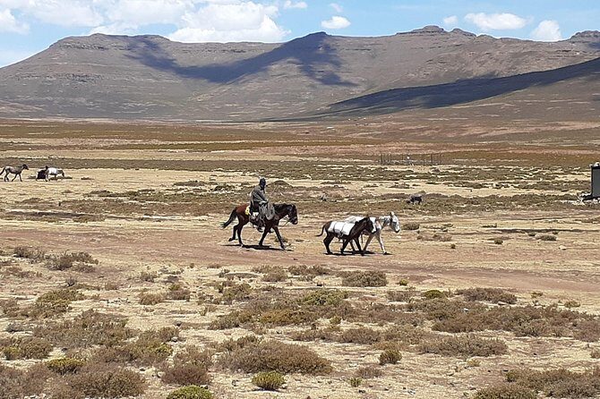 3 days Lesotho Private Tour, Sani Pass and Maletsunyana Falls - Price and value: is $842.64 per person a fair deal?