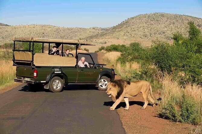 3-Hour Private Game Drive in Pilanesberg National Park - Sun City to Pilanesberg: the 3-hour clock and why it works