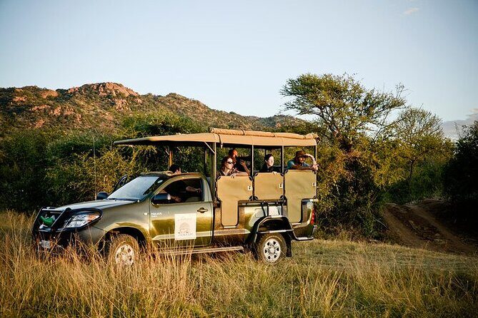 3-Hour Private Game Drive in Pilanesberg National Park - The guide experience: why commentary often matters more than you think