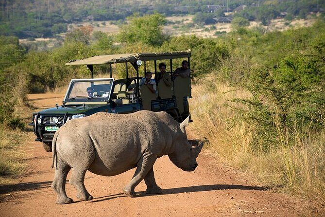 3-Hour Private Game Drive in Pilanesberg National Park - Price and value: what $216.39 buys you in real terms