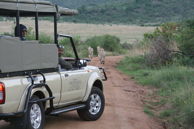 3-Hour Private Game Drive of Pilanesberg National Park - Mankwe GAMETRACKERS: How the Guide and Vehicle Affect the Day