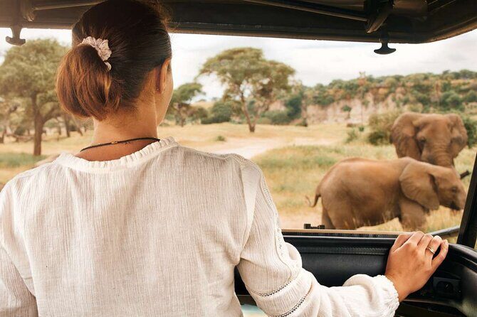 3-Hour Safari Tour in Pilanesberg National Park - The Rangers and Guides: Why Their Skill Changes the Day