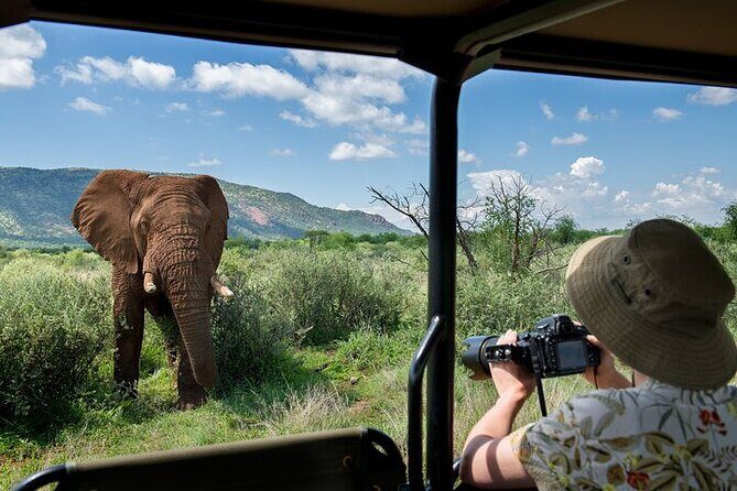 3-Hour Safari Tour in Pilanesberg National Park - Stop Focus: Where You’ll Actually Spend Time in the Reserve