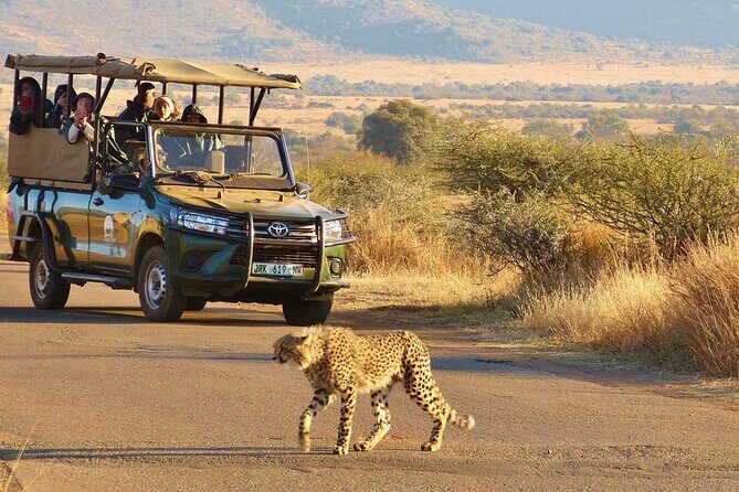 3-Hour Scheduled Safari Game Drive in Pilanesberg National Park - Pickup, Mobile Ticket, and a Max of 10 People