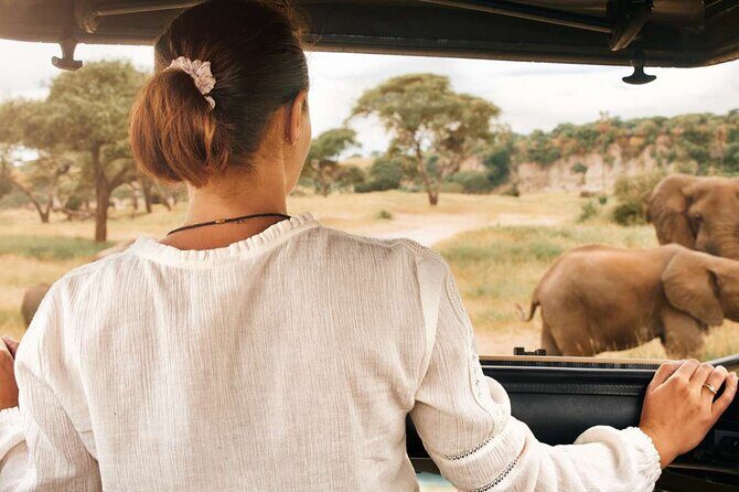 3-Hour Scheduled Safari Game Drive in Pilanesberg National Park - Big Five Chances: What to Expect (and What Not to Assume)