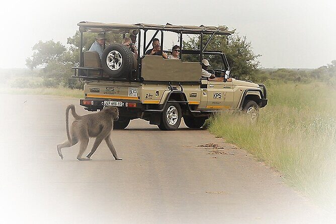 3 Night & 4 Day Private Kruger Park Safari - Key things to know before you go