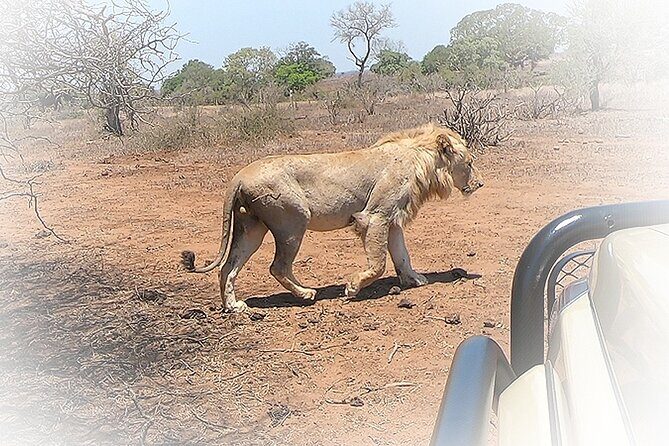 3 Night & 4 Day Private Kruger Park Safari - Where you sleep: camps inside Kruger and that real bush feeling
