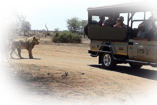3 Night & 4 Day Private Kruger Park Safari - Price and value: what you’re actually paying for