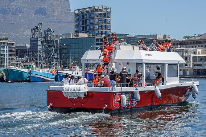 30min Harbour Boat Cruise Cape Town - A 30-Minute Harbor Cruise That Works When Time Is Tight