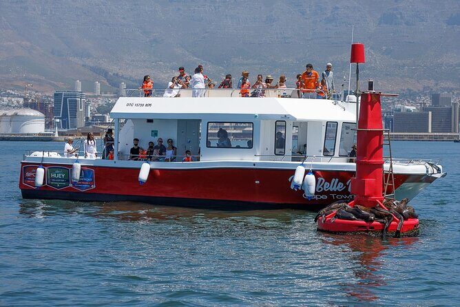30min Harbour Boat Cruise Cape Town - Where You Board at the V&A Waterfront (And Why It Matters)