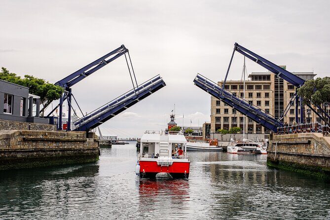 30min Harbour Boat Cruise Cape Town - The Views: Table Mountain, Signal Hill, and Harbor Sights From Sea Level