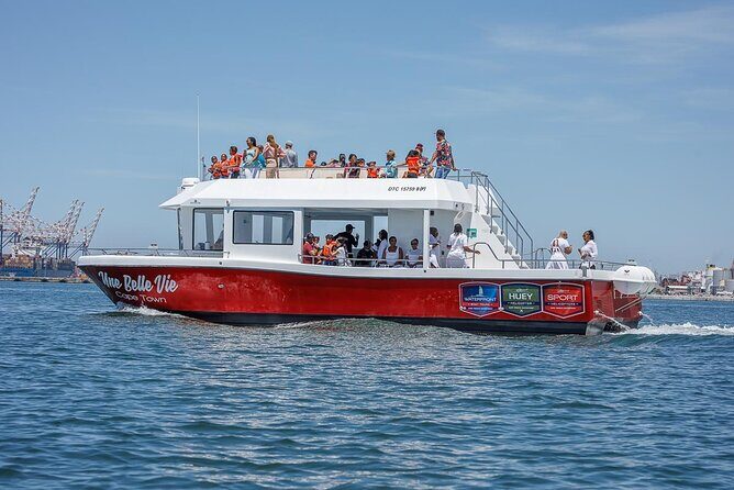 30min Harbour Boat Cruise Cape Town - How to Make the Most of Just 30 Minutes