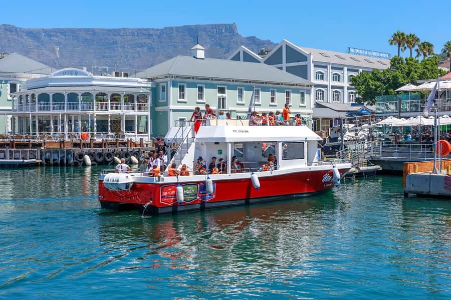 30min V&A Waterfront Harbour Cruise Cape Town - Key things I’d watch for before you go