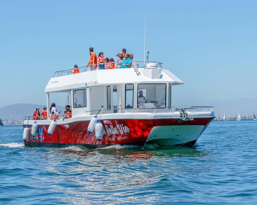 30min V&A Waterfront Harbour Cruise Cape Town - Une Belle Vie: what it’s like on a 47ft double-decker