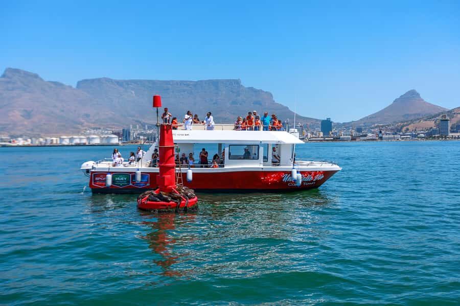 30min V&A Waterfront Harbour Cruise Cape Town - Table Mountain views from the water: quick scenery without the hassle