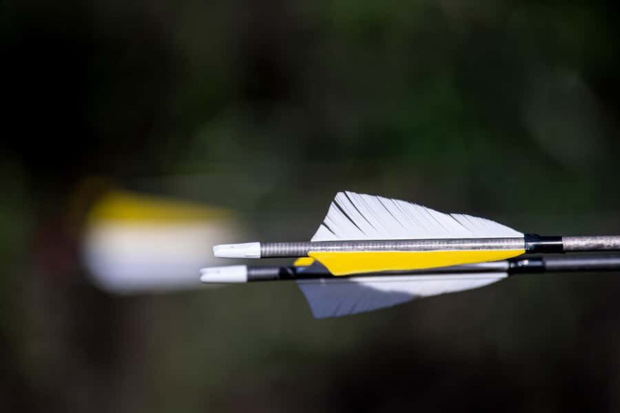3D Archery Adventure - Plettenberg Bay - The Safety Briefing: How You Learn to Shoot Without Stress