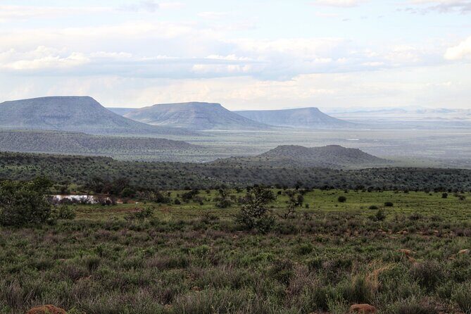 4 Day Addo to Karoo Safari - What the inclusions really mean for your comfort (meals, admissions, timing)