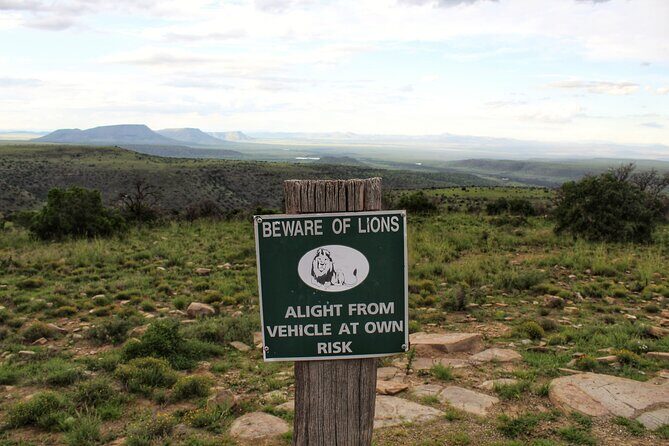 4 Day Addo to Karoo Safari - Who should book this safari, and who should reconsider