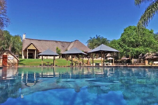 4 Day All Incl. Private Kruger Park Safari and Transfer From Nelspruit - Day 4: One last morning safari, then you ride back