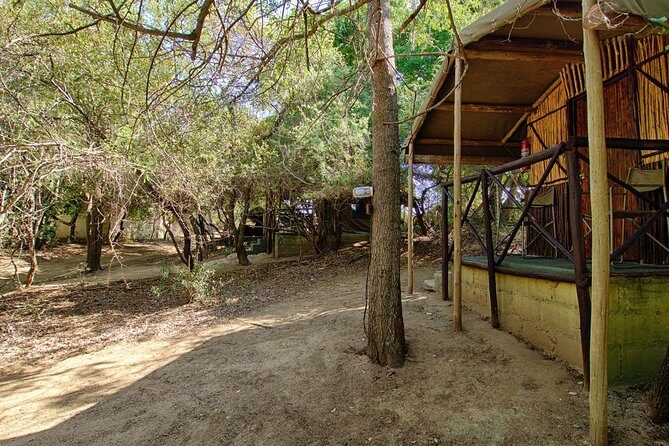 4 Day Budget Kruger National Park Safari - Walking the Olifants River in Balule with Armed Rangers