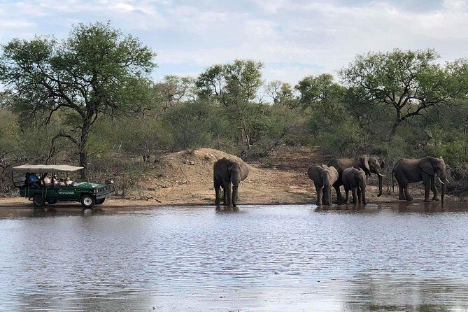 4 Day Budget Kruger National Park Safari - Lunch, Brunch, and the 2-Hour Afternoon Game Drive