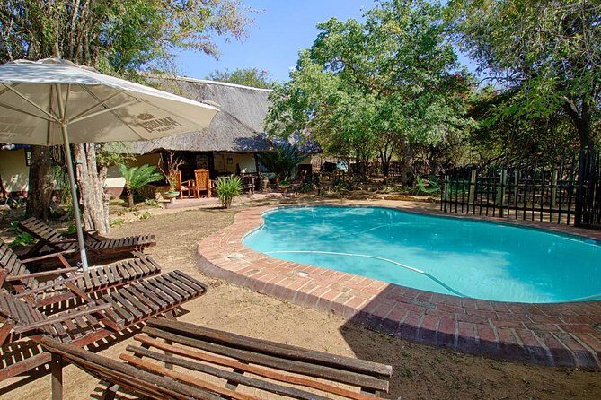 4 Day Budget Kruger National Park Safari - Early Morning Game Walk at Marc’s Treehouse Lodge Area