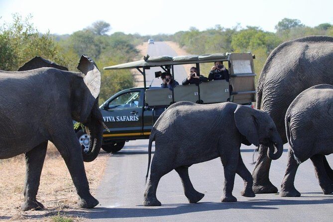 4 Day Classic Kruger National Park Safari - Key things that make this safari work