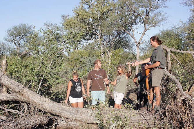 4 Day Classic Kruger National Park Safari - Guides and group size: why small numbers help in Kruger country
