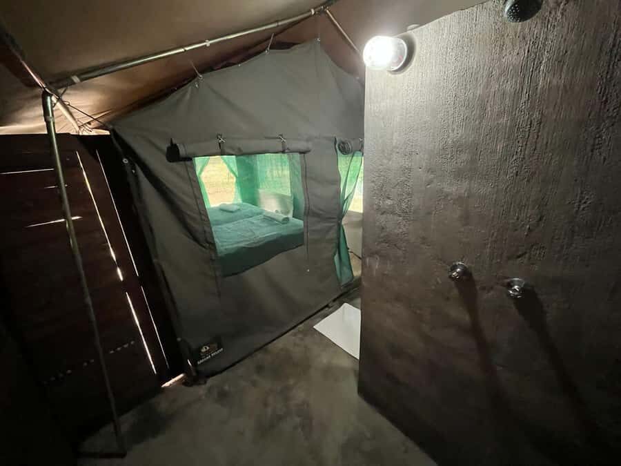 4 Day Dumela Tented Camp Safari - Dumela Tented Camp: Glamping Comfort, Camp Life, and Wi-Fi